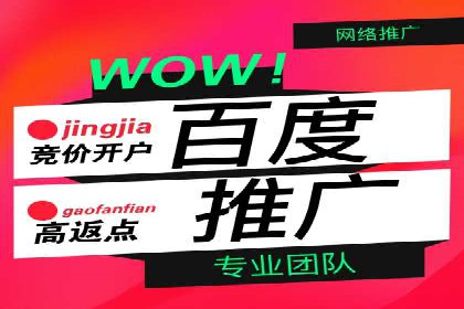 百度竞价广告的成功之路：企业运营案例集